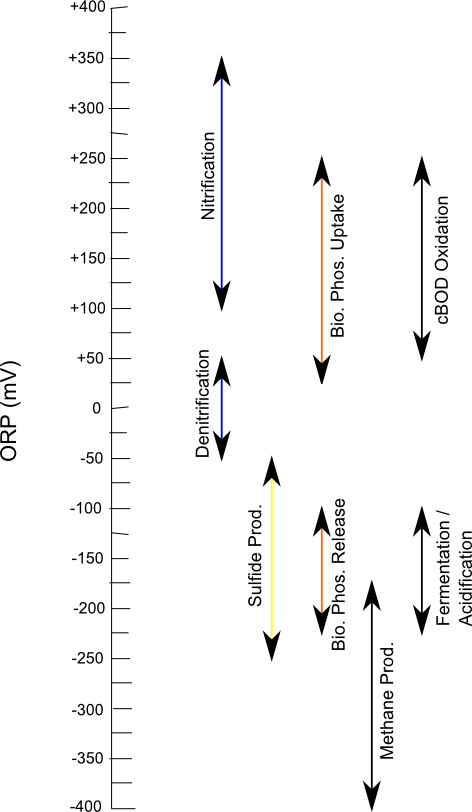 Infographic of oxidation-reduction potential scale