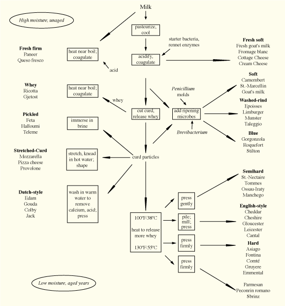 Cheese Varieties diagram from Curdnerds.com