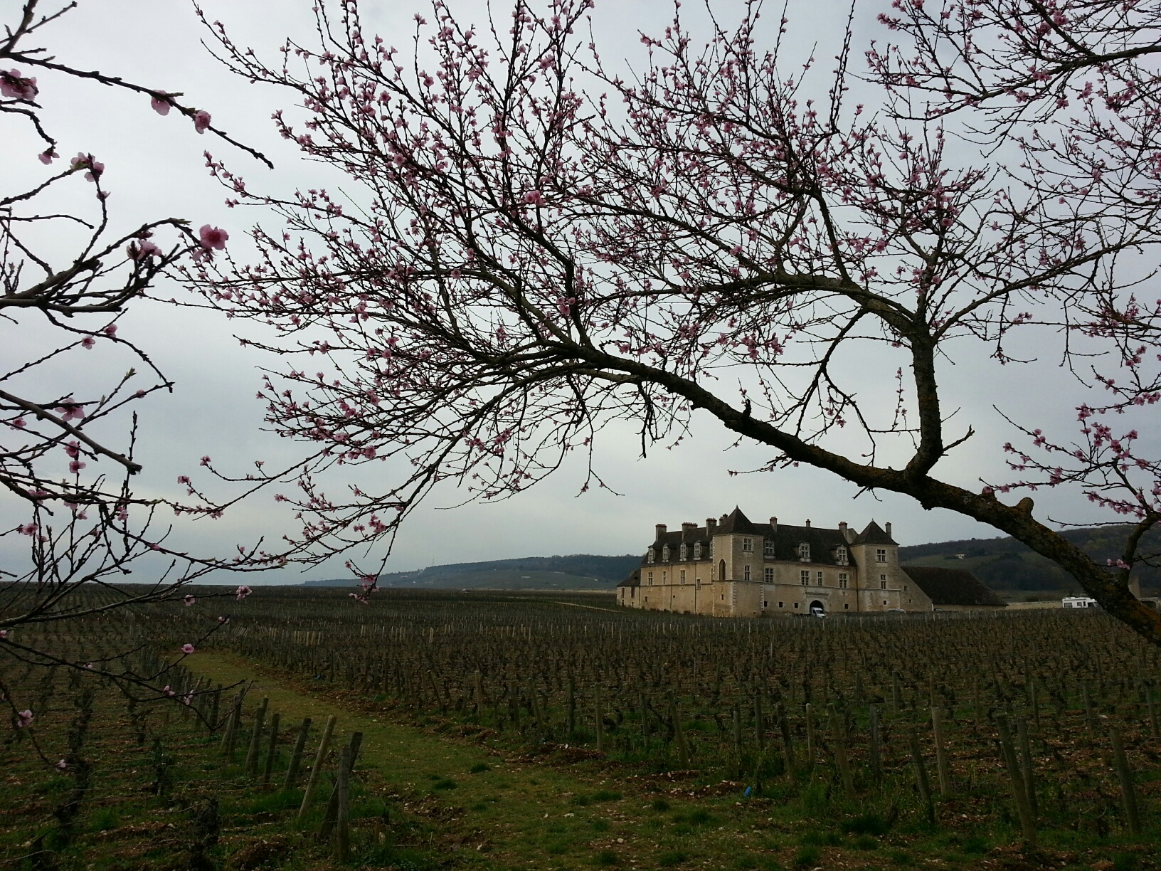 Clos Vougeot