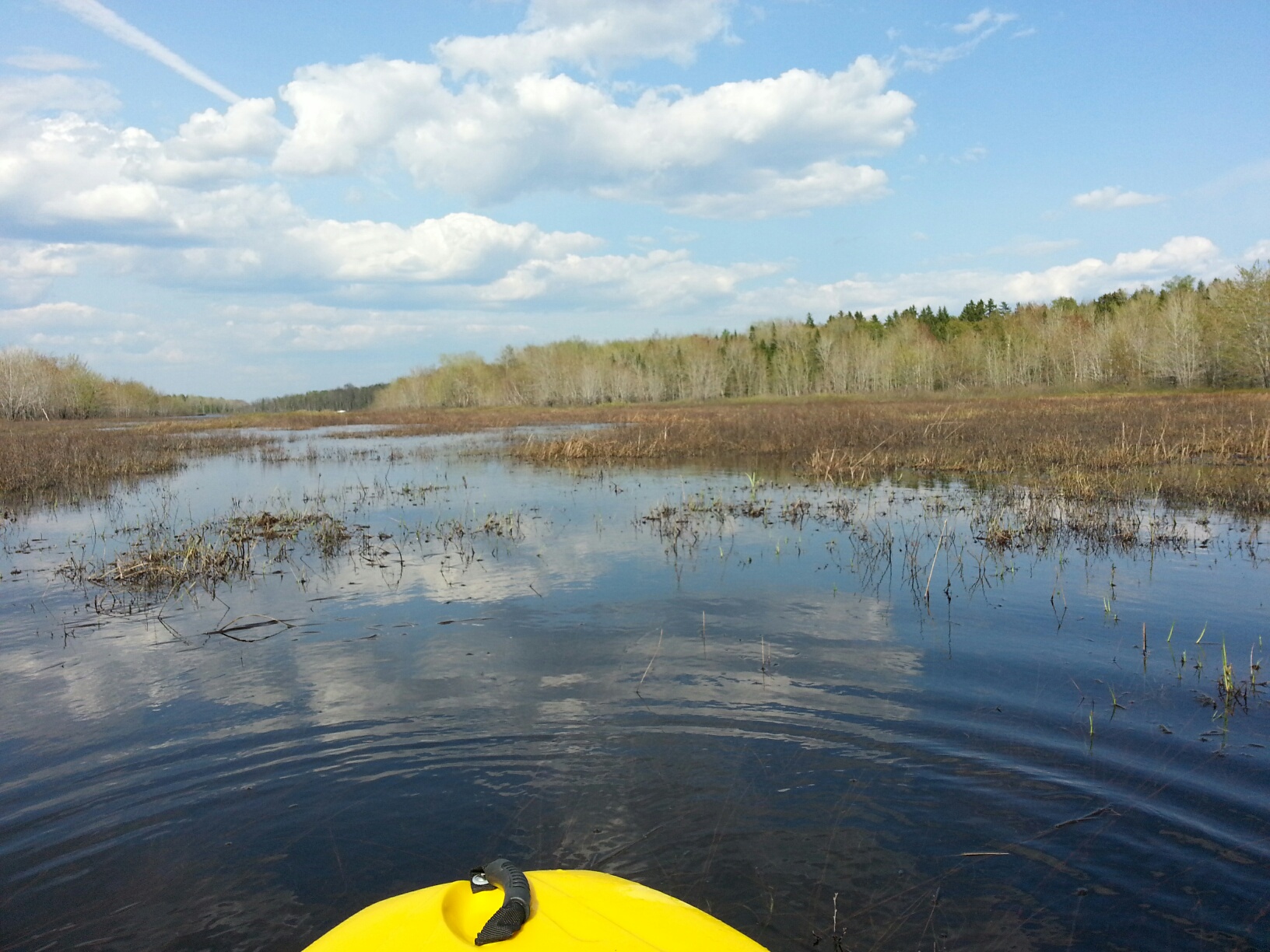 Portobello Creek flooded wetland