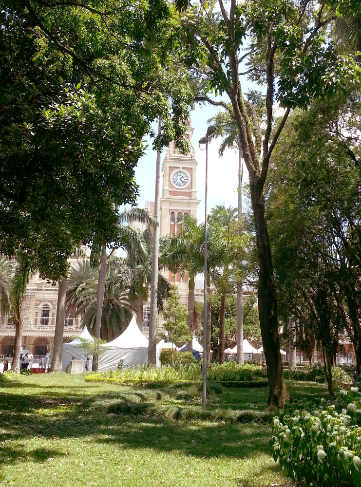 Clock tower of Luz station, from park