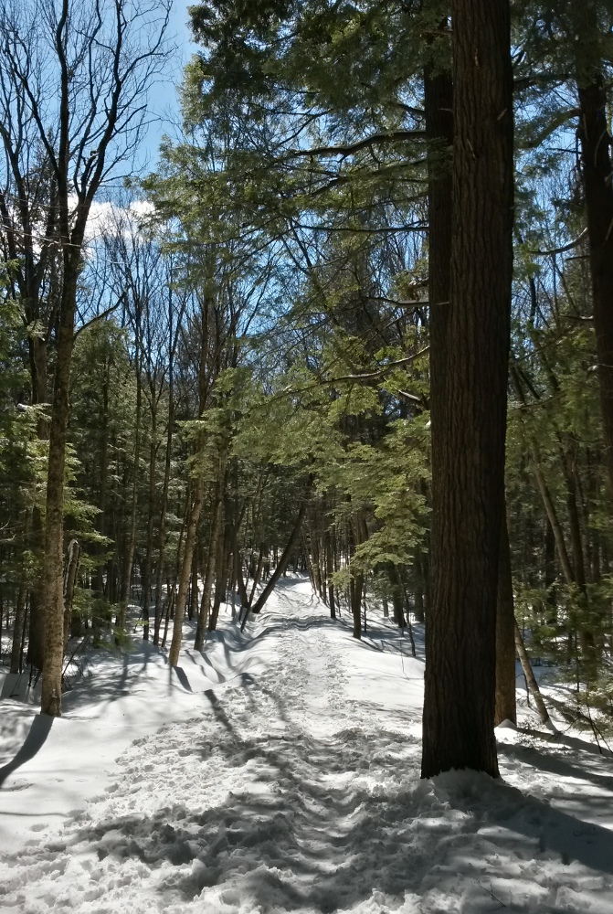 Snowshoeing in Odell Park, March 2017