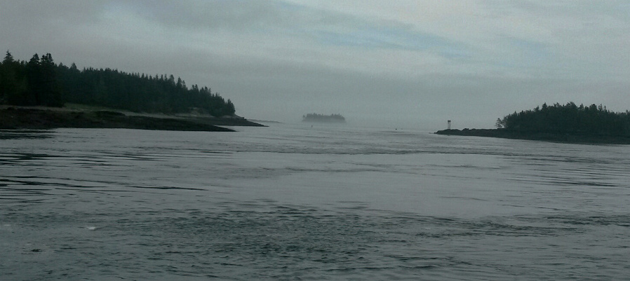 Currents where Passamaquoddy Bay and Fundy Bay proper meet