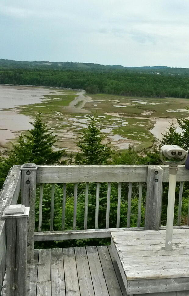 Irving Nature Park Lookout