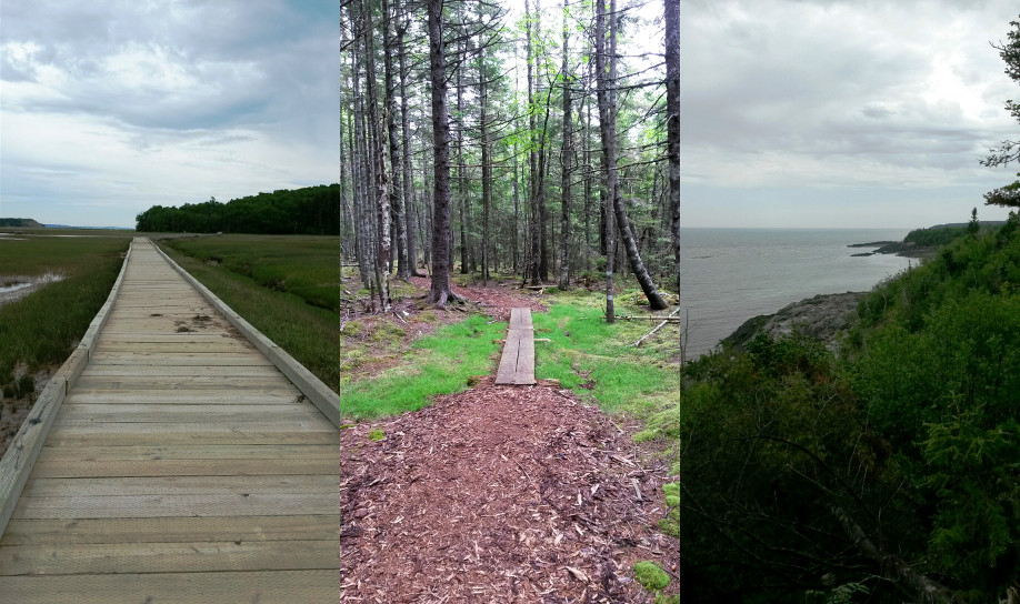 Irving Nature Park Trails