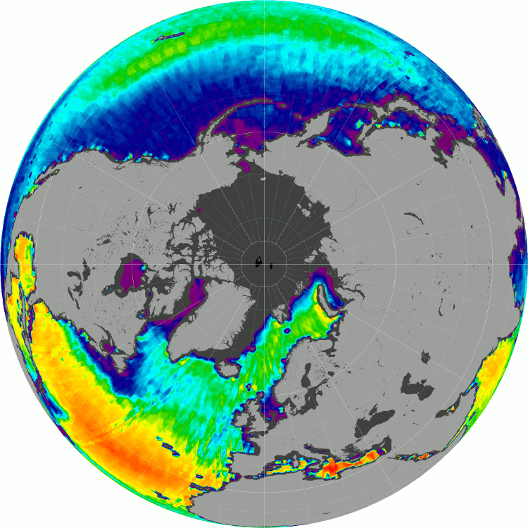 Variations in Arctic salinity over a 1 year period