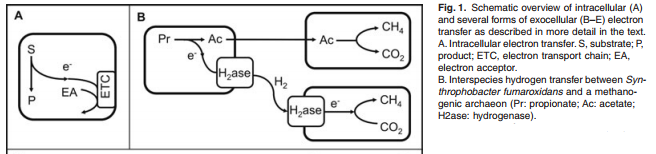 Figure 1 excerpt