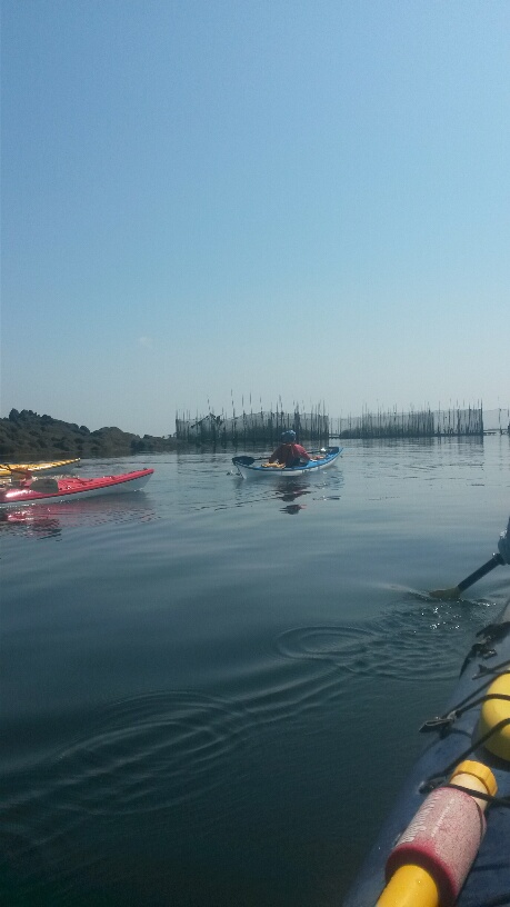 Paddling past some herring weirs