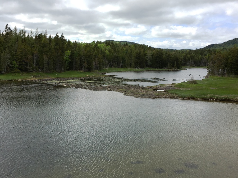 Sam Orr's Pond