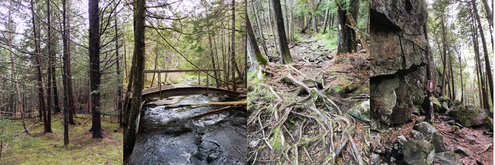 Sam Orr Pond Trail