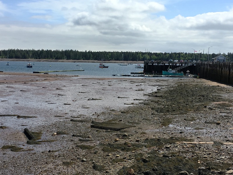 Wharf in St. Andrews NB at low tide